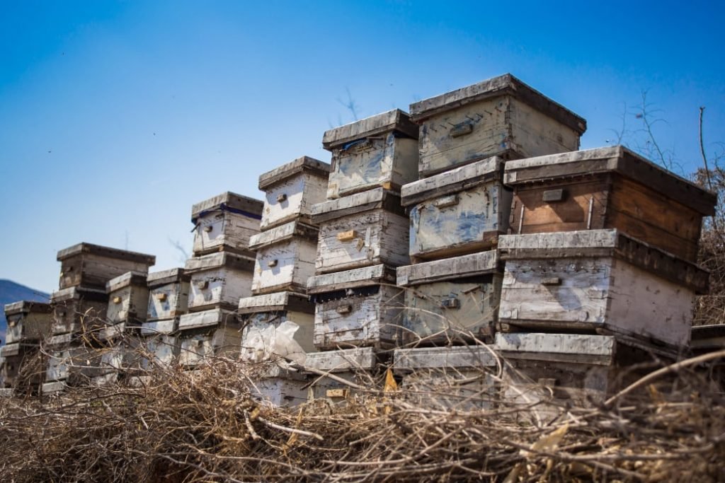 Old beehives