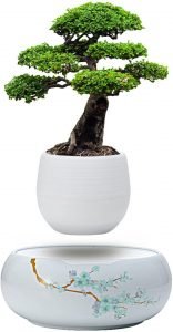 Levitating Mini Plant Pot 