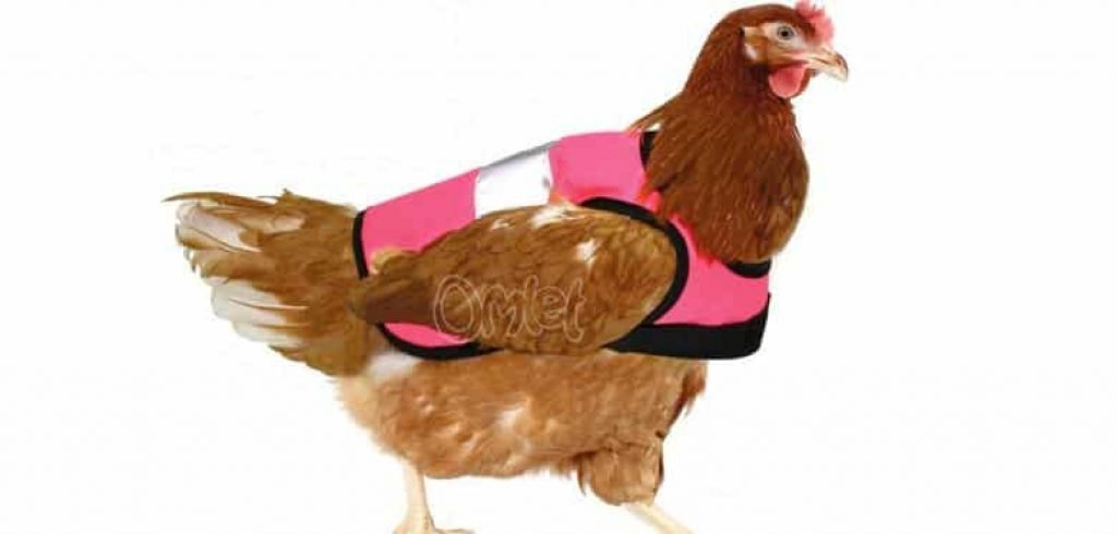 chicken vest Cool things to buy on amazon